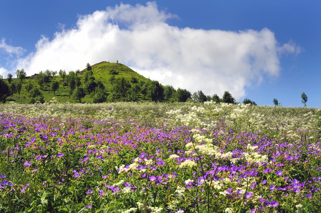 Landhaushotel Hof Wasserkuppe พ็อพเพินเฮาเซน ภายนอก รูปภาพ